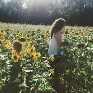 Meet your Posher, Tabby